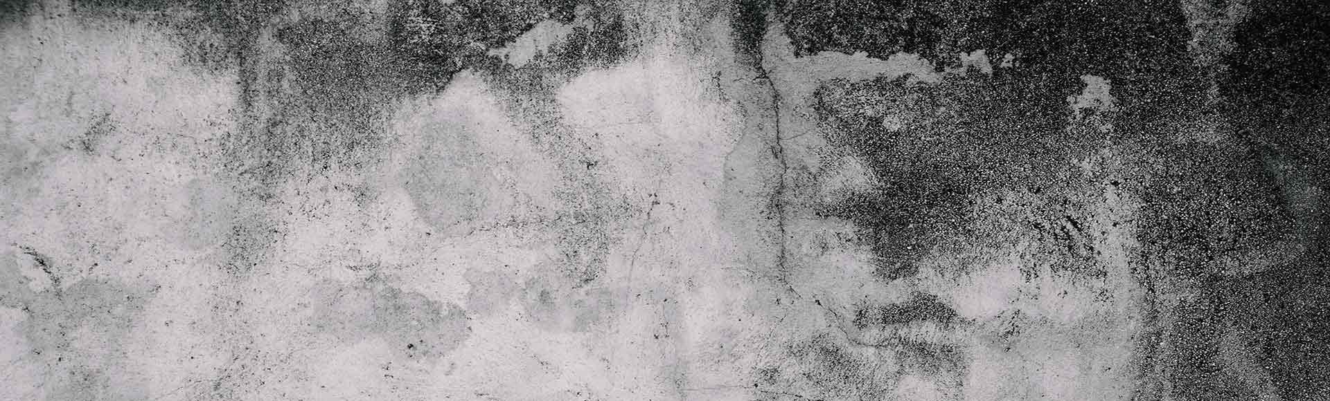Mold Services